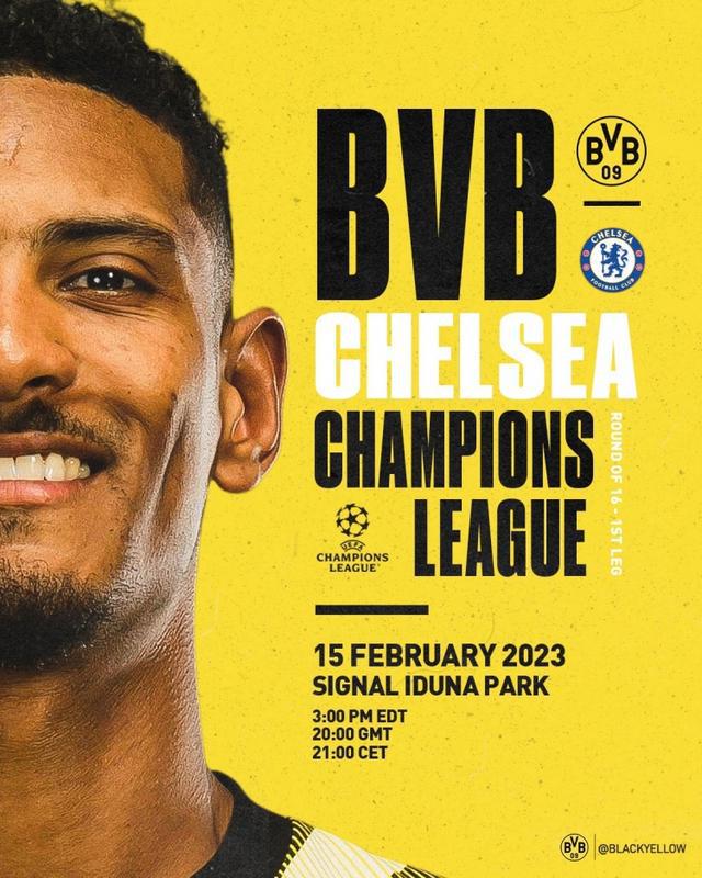 10吨植物油精炼设备